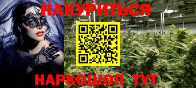 apvp Канаш