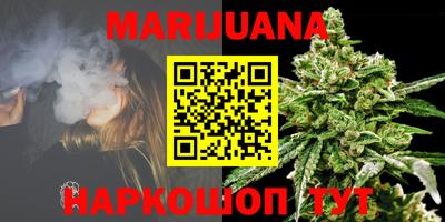apvp Канаш