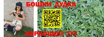 apvp Канаш
