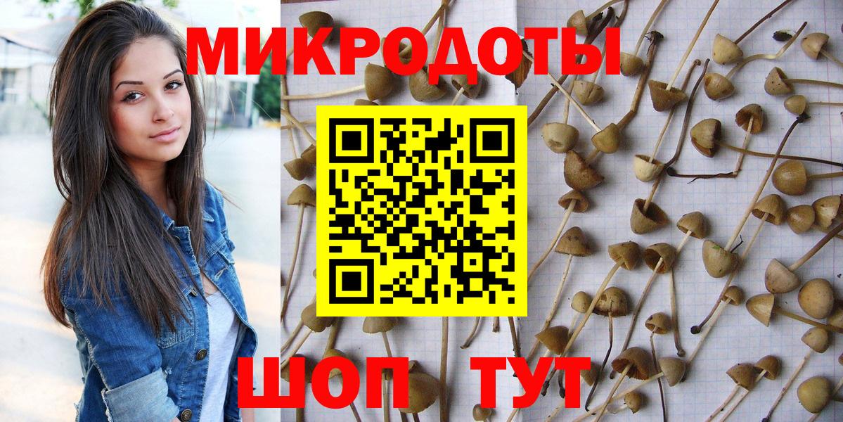 Галлюциногенные грибы Magic Shrooms  Вход с VPN  Псилоцибиновые грибы прущие грибы  Красный Сулин 
