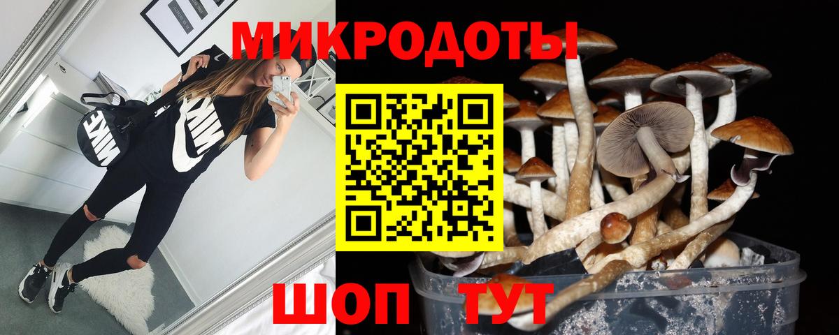 Галлюциногенные грибы мухоморы Красный Сулин