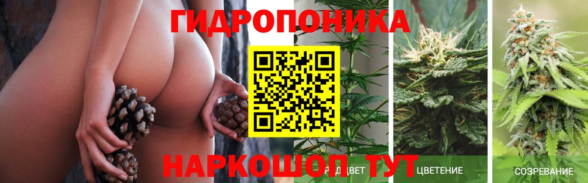 Конопля AK-47 Красный Сулин